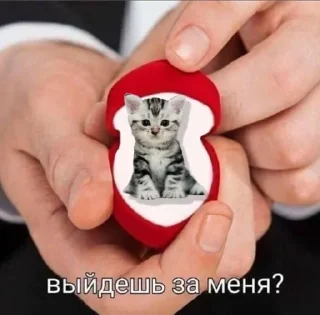 Sticker утик - 9