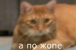 Sticker утик - 10