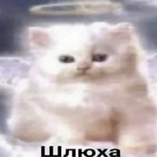 Sticker Больше стикеров: @sticerru - 4