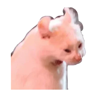 Sticker Больше стиков тут: @stikery4 - 3