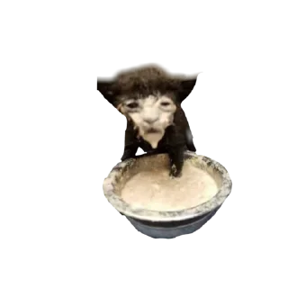 Sticker Больше стиков тут: @stikery4 - 5