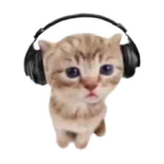 Sticker Больше стиков тут: @stikery4 - 2