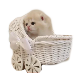 Sticker Больше стиков тут: @stikery4 - 11