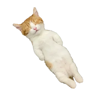 Sticker Больше стиков тут: @stikery4 - 8