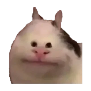 Sticker Больше стиков тут: @stikery4 - 4