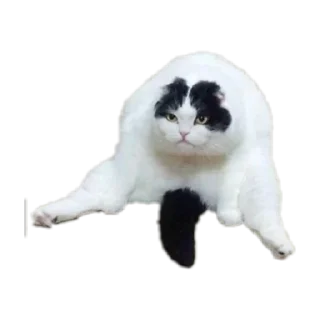 Sticker Больше стиков тут: @stikery4 - 7