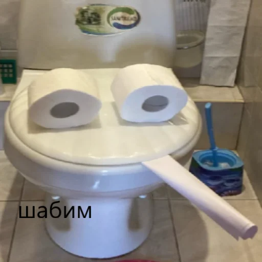 туалет комнатный бытовое снабжение