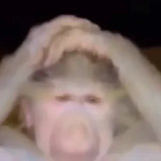 Sticker Monke Time 🙉 by @lafagestckrs - 4