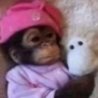 Sticker Monke Time 🙉 by @lafagestckrs - 6