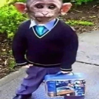 Sticker Monke Time 🙉 by @lafagestckrs - 10