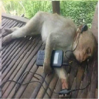 Sticker Monke Time 🙉 by @lafagestckrs - 7