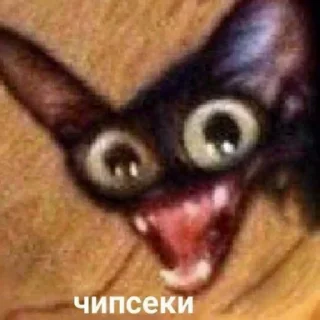 Стикер Kitty Time 😼 by @lafagestckrs - 4