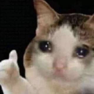 Стикер Kitty Time 😼 by @lafagestckrs - 6