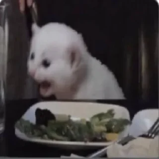 Стикер Kitty Time 😼 by @lafagestckrs - 5