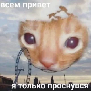 Стикер Kitty Time 😼 by @lafagestckrs - 2