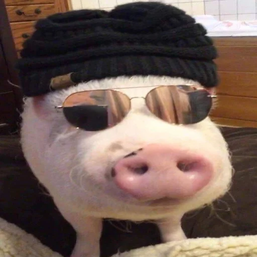 Sticker Piggy Time 🐷 by @lafagestckrs - 4