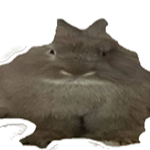 Sticker laibochka - 5