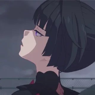 Sticker ляйденмэй - 9