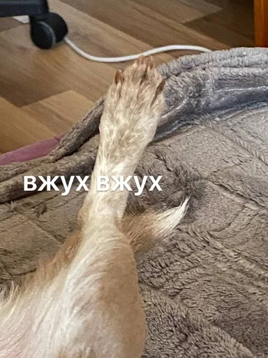 Стикер лакуша который кукуша :: @fStikBot - 7