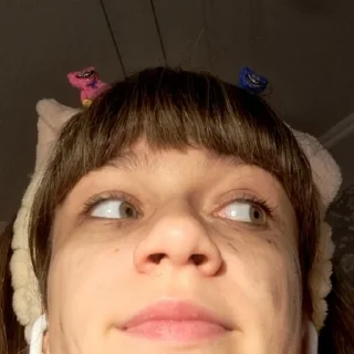 Sticker кошечки - 8