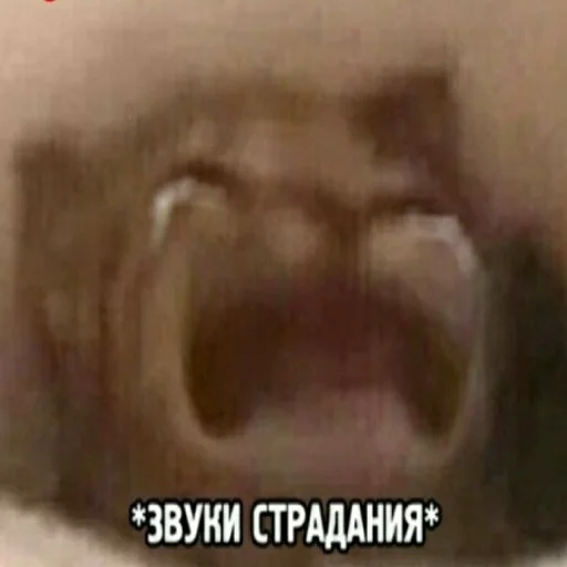 text x-ray film organ