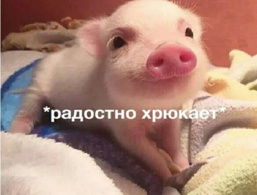 Стикер Лапка - 3