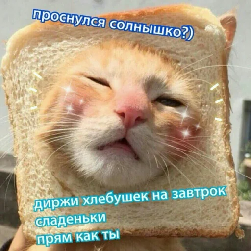 Стикер Лапка - 2