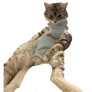 Sticker лариса лонгсливова - 3