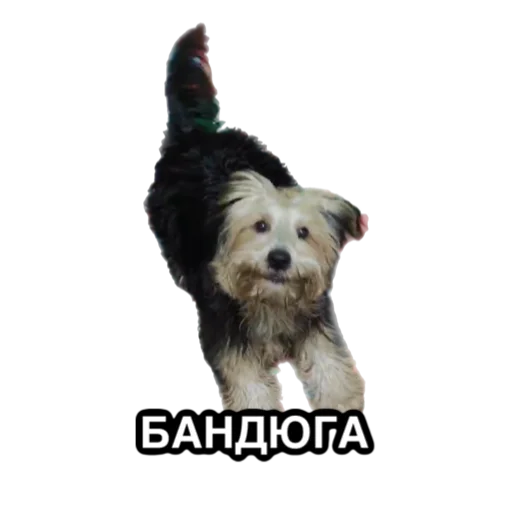 Sticker larisaipahan - 1