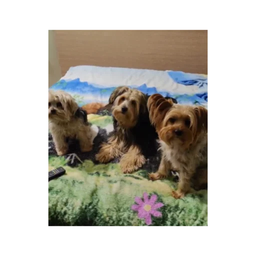 Sticker larisaipahan - 1