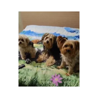 Стикер Лариса и Пахан - 6