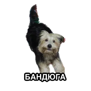 Стикер Лариса и Пахан - 7