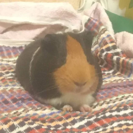 Sticker черный рейв - 5