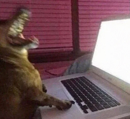 indoor computer laptop