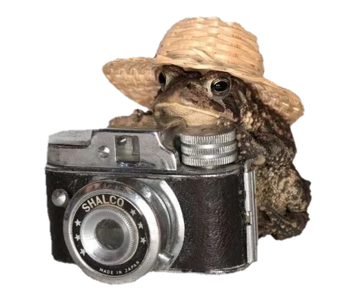 камеры и оптика фотоаппарат линза