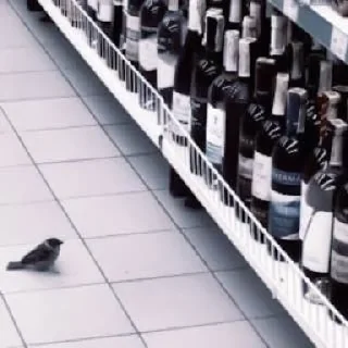 Стикер Викей и Суинь в борьбе за справедливость - 7