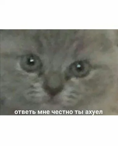 Стикер кто сюда вообще смотрит¿ - 0