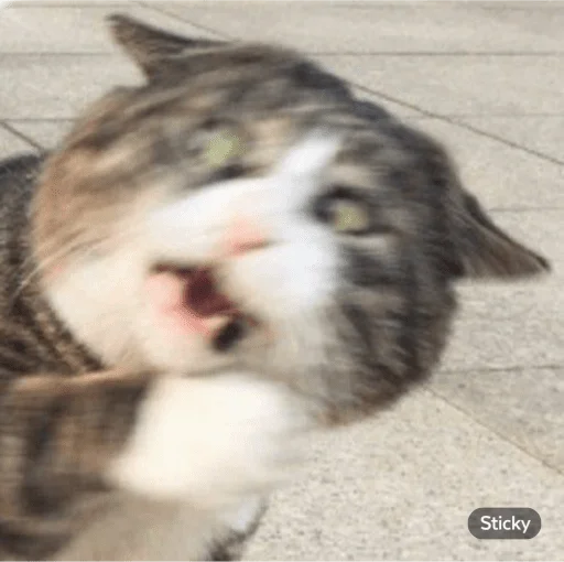 Sticker le_cosmetics - 1