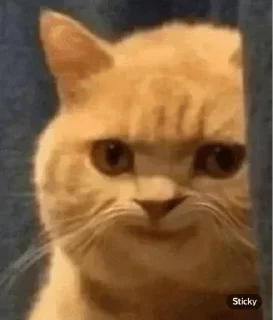 Sticker Бьютитележка (@le_cosmetics) - 8