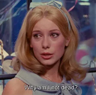 Стикер лё бэйсик бич - 8