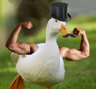 Стикер Le Ducc - 5