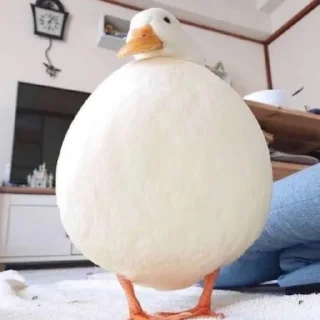 Стикер Le Ducc - 3