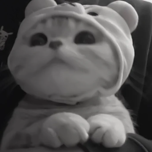 Sticker :: котики - @leehelp - 2