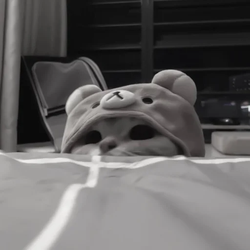 Sticker :: котики - @leehelp - 0