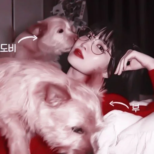 комнатный человеческое лицо Человек