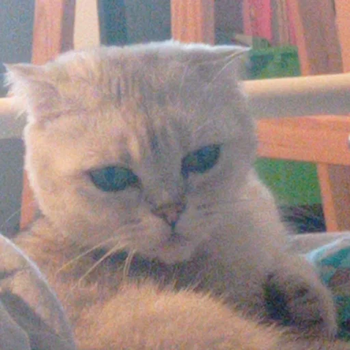 Стикер легенды бывают - 5