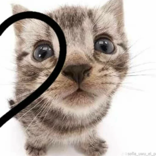 Стикер @daynGGlegenda - 9