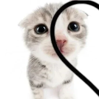 Стикер @daynGGlegenda - 7