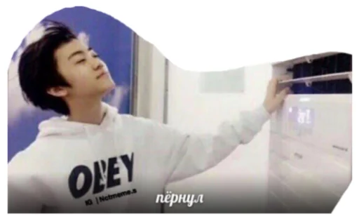 Sticker leilaboo13 - 1