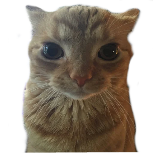 Стикер lemmlem - 11